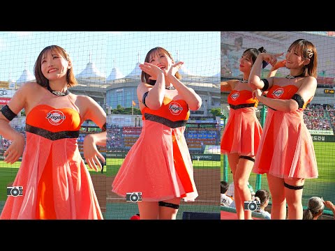 일본인 치어리더도 놀란 한국의 여름 | 한화이글스 치어리더 아야카치어리더 QWER 내이름맑음 | CheerLeader FanCAM 4K 60fps | 250629