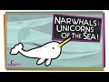 Understanding Narwhals