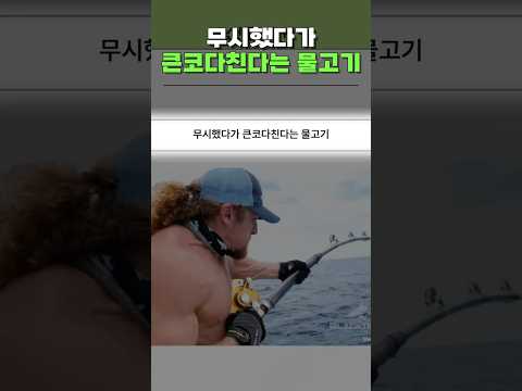 무시했다가 큰코다친다는 물고기ㅋㅋ