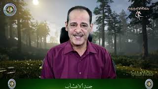 كل ما تحتاج معرفته عن القهوة الخضراء وفوائدها المدهشة مــع خـبـيـر الاعشاب حسن خليفه