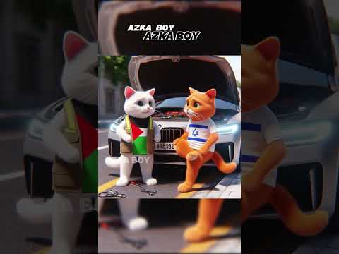 KUCING ISRIWIL BERULAH LAGI, KUCING PALESTINA  #shorts #kucing #palestina #cat #catplanet