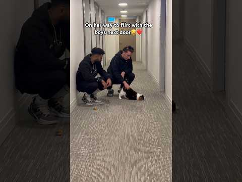 Elie got two boyfriends 🤣❤️