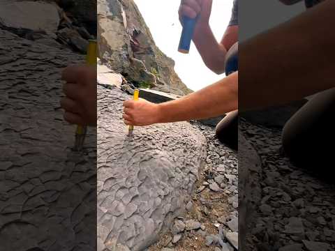 this guy found a 10 crore value old stone #shorts #short #trending #viralshorts #facts #reels