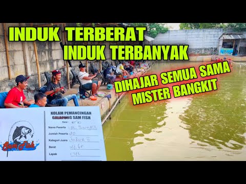 Kiri Kanan Jadi Saksi Kuk Kuk Kuk Lomba Mancing Ikan Mas