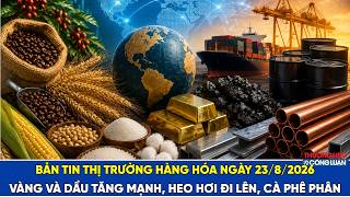  Bản tin thị trường hàng hóa 23/8: Vàng và dầu tăng mạnh, heo hơi đi lên, cà phê phân hóa