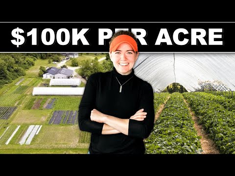 🍅🥬 $100K PER ACRE GARDEN BUSINESS (full interview) Wegener Farm Organic Vegetable CSA Market Farming