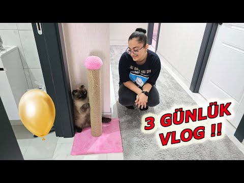 3 GÜNLÜK VLOG ! NURETTİN HAYALLERİNE KAVUŞTU