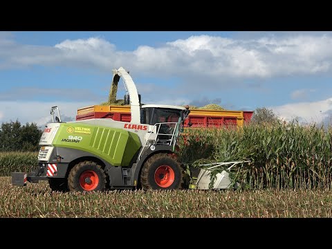 Mais hakselen door loonbedrijf Veltink met een Claas Jaguar 940 en 2 Fendt trekkers (2024)