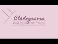 Phylogenetic Trees and Evolutionary Relationships