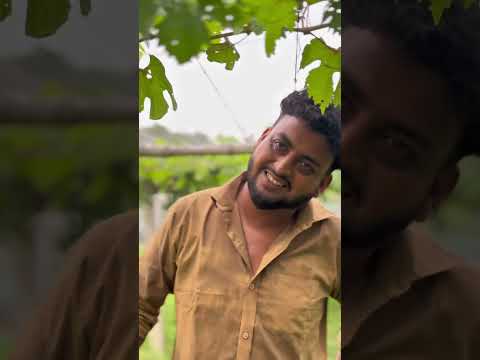 আংগুর ক্ষেতে চু*রি 😳 #nahidmotionpix #minivlog #comedymove #comedyshorts #unfrezzmyaccount #sad