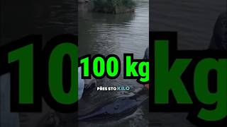 Nové video je ONLINE ✅👇