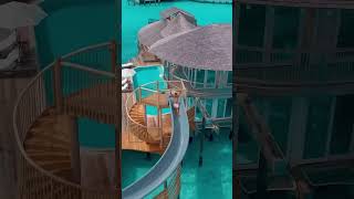 #travel #maledives #borabora #vacation #travelbucketlist #bestbeaches #maldives #shorts  #maldivas