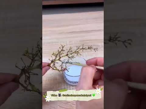 Olha essa ideia com galho de uva 🍇 🤩
