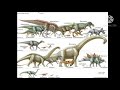 Evolutionary Biology Concepts
