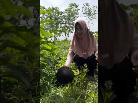 PEMASANGAN SANGGUL,,EHH SANGGULNYA NGELINDING 😂😂😂#shorts #makeup