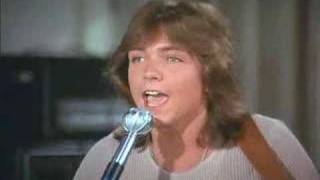 The Partridge Family   Brown eyes