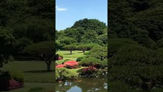 #shorts #meditation #nature #relaxing #meditation_music #yoga