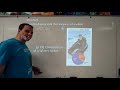 Understanding Graphs and Scientific Notation