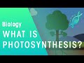 Photosynthesis Concepts and Processes