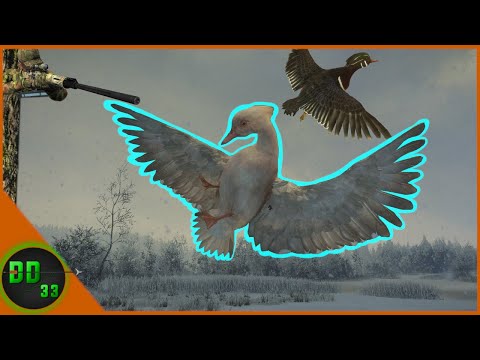 Duck Hunting A RARE ALBINO WOOD DUCK In Alberta! Call Of The Wild