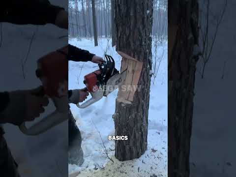 Is this the MOST complex tree notch ever? βοΈπͺ