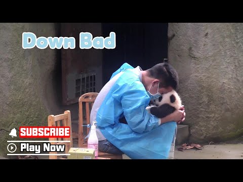 Nanny Admit It. You Are Down Bad | iPanda