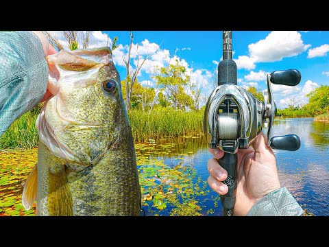 Searching For BIG Bass In The Dead Summer HEAT (Crazy Bites)