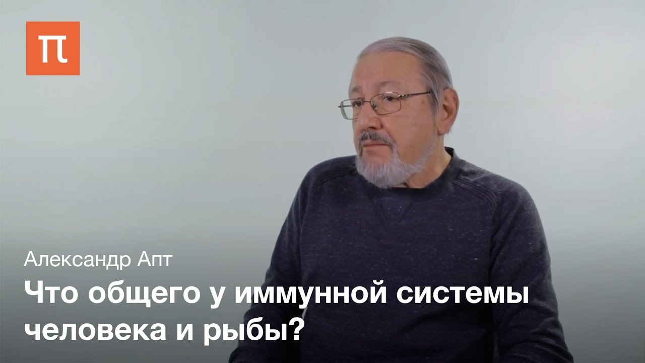 Иммунная система - Александр Апт