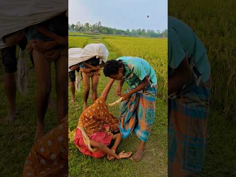 The queen was traveling in a bullock cart