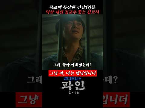 김덕산 찾아 목포까지 온 부산 건달, 김코치 #파인 #촌뜨기들