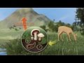 Exploring the Carbon Cycle in 3D