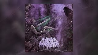 Infant Annihilator - The Elysian Grandeval Galèriarch [OFFICIAL ALBUM STREAM W/ LYRICS]