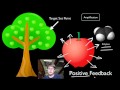 Exploring Feedback Loops in Homeostasis