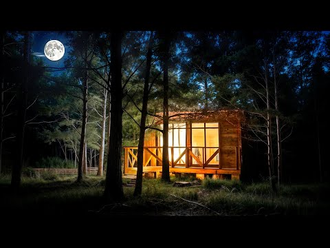I Built a NORTH Cabin ALONE... No Talking! Ep. 7