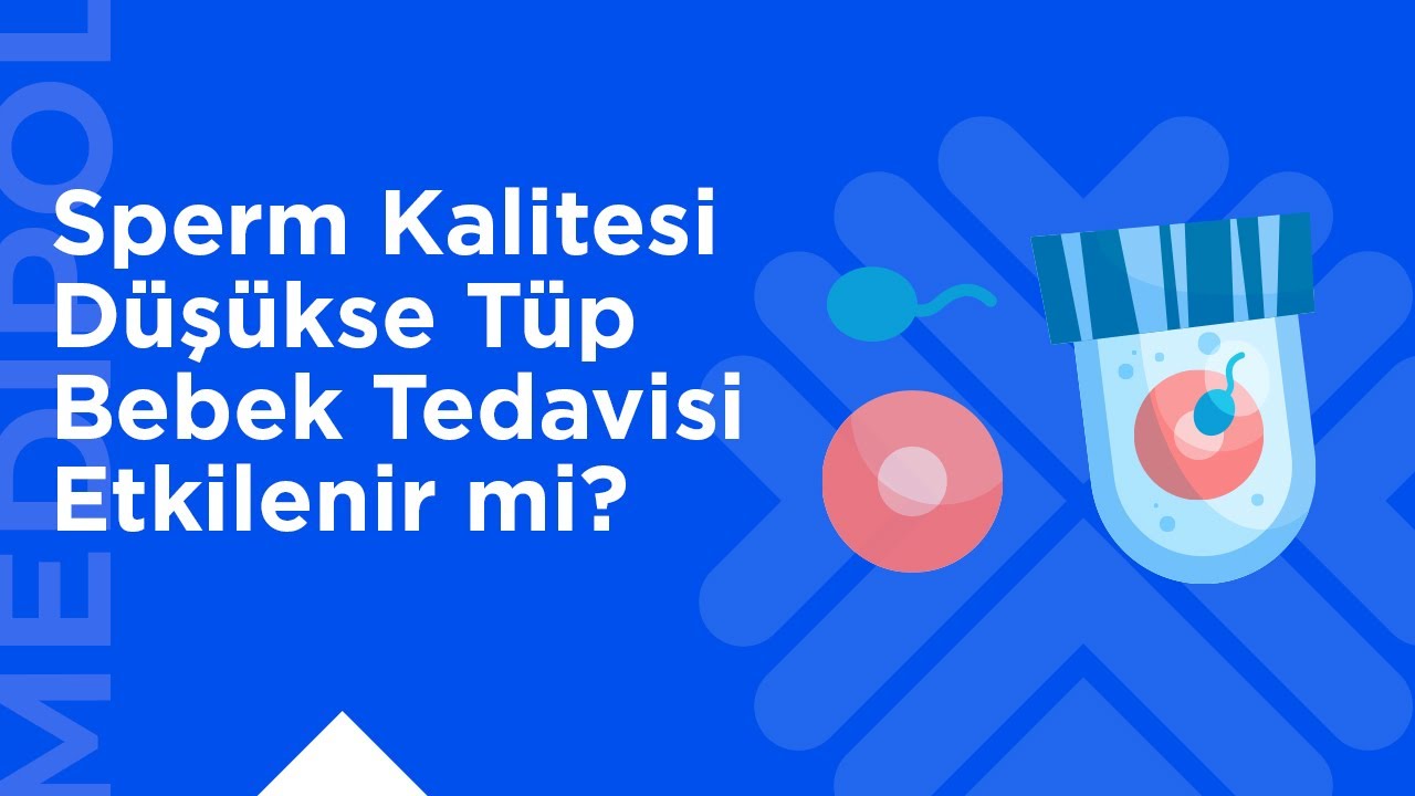 Sperm Kalitesi Tüp Bebek Başarısını Nasıl Etkiler?