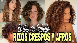 Tus RIZOS No necesitan esconderse, necesitan Brillar con el CORTE Ideal| Pelo RIZADO, CRESPO y AFRO🔥