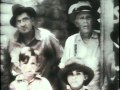 The Dust Bowl: Causes, Impact, and Recovery