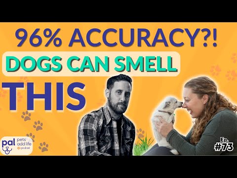 Why Your Dog Knows You’re Stressed (Before You Do) | Ep. 73
