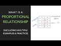 Understanding Proportional Relationships