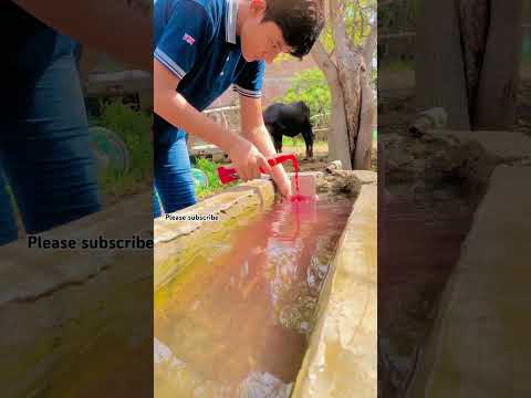 Please subscribe video viral me viral.50k ?…50k…?❤️❤️💫