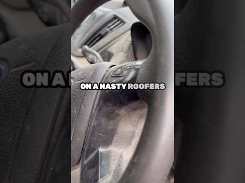 £300 DEEP clean on this nasty van? #detailing #satisfying