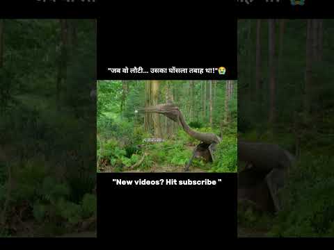 Battle for the Eggs। #movieexplainedinhindi #cineveda #movieexplaine #movie #shorts #trendingshorts