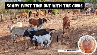We Let Princess Out.... This Happened 😲 Another Day On Our Farm in El Salvador. 