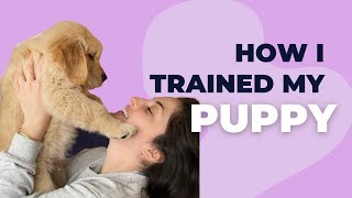 How I Trained my Puppy