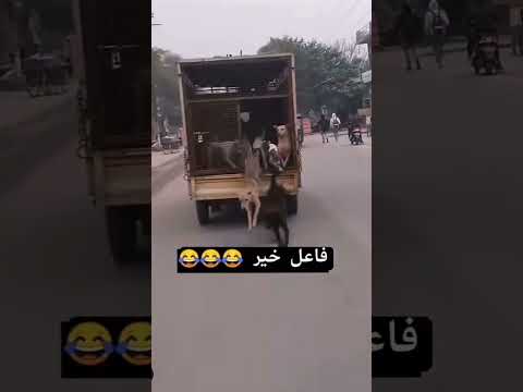 فاعل خير😂😂 #اكسبلور #المراه #مقلب