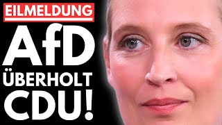 💥UMFRAGE HAMMER! AfD JETZT VOR CDU?! WEIDEL ZERLEGT MERZ LIVE IM TV!💥