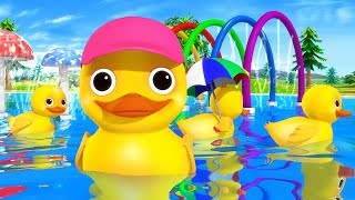 Quack Quack Song! Baby Ducks Go Swimming with Mama 🦆 | Fun Baby Songs | Classic Baby Songs