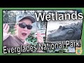 Everglades Ecosystem and Conservation