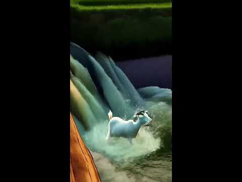 Animal wonders Live Stream
