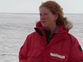 Penguins and Climate Change Challenges